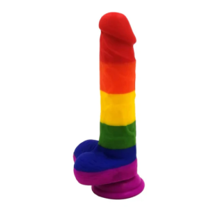 The Rainbow Silicone Dildo